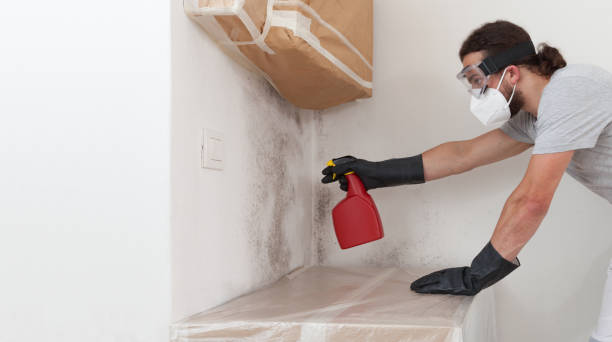 Professional Attic Mold Remediation technician working in Vernon Hills, IL