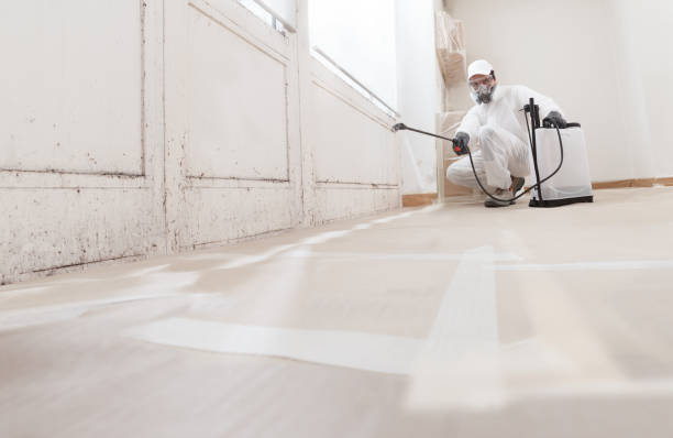 24/7 Emergency Attic Mold Remediation experts in Vernon Hills, IL